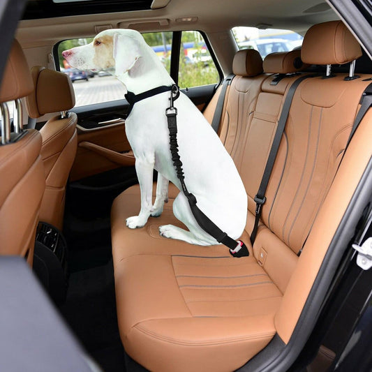 Adjustable Dog Car Harness – Seatbelt Restraint (2-Pack)