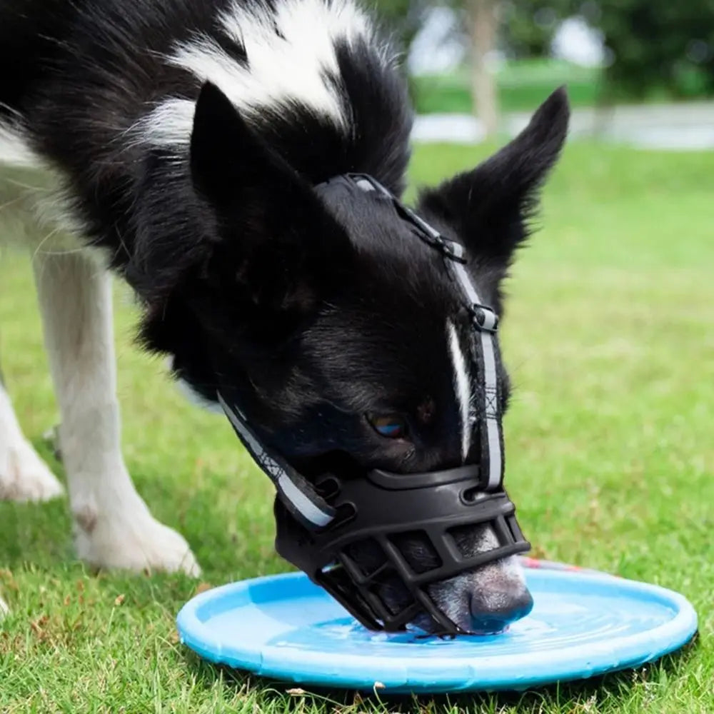Adjustable Breathable Dog Muzzle with Reflective Strip
